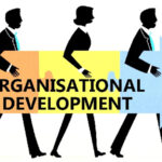 توسعه سازمانی چیست